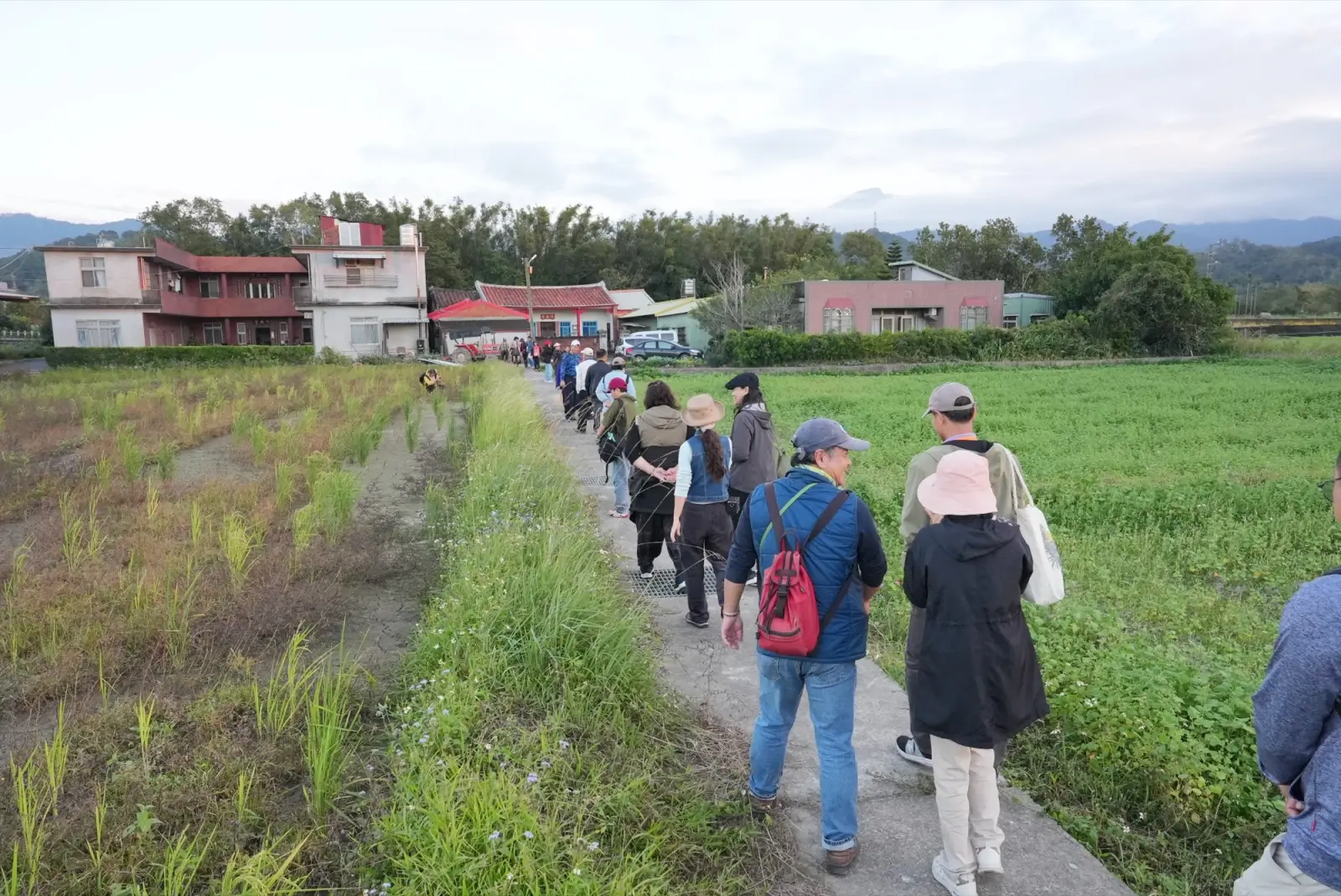 花蓮農村小徑上的旅人