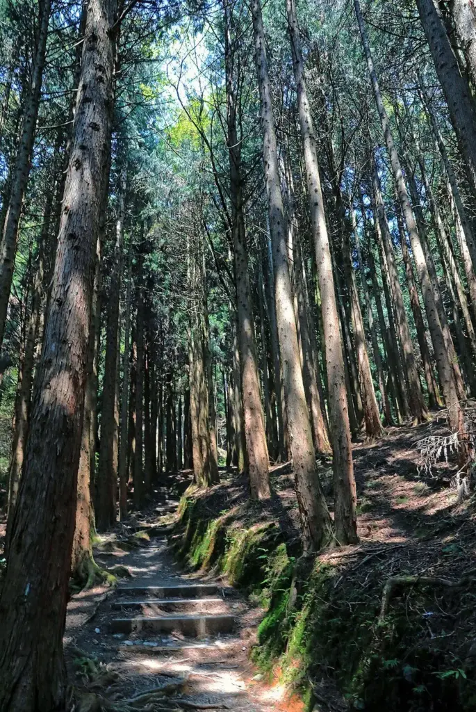 雪見聖稜・苗栗森湯陶旅二日遊