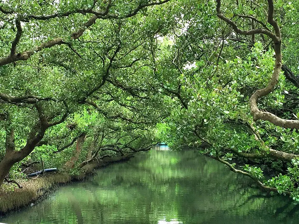 台江國家公園