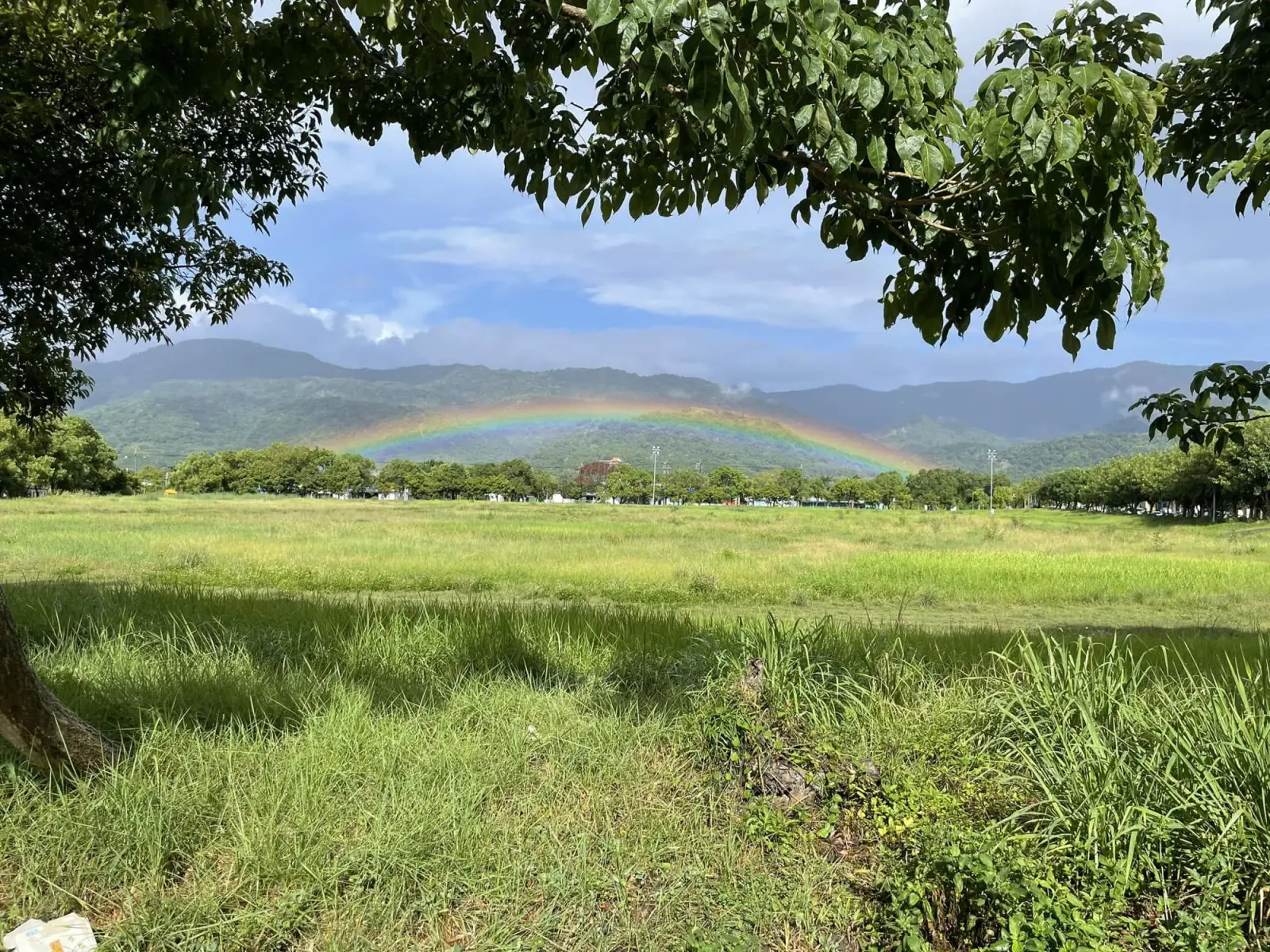 玉山南安森徑・安通農遊二日遊