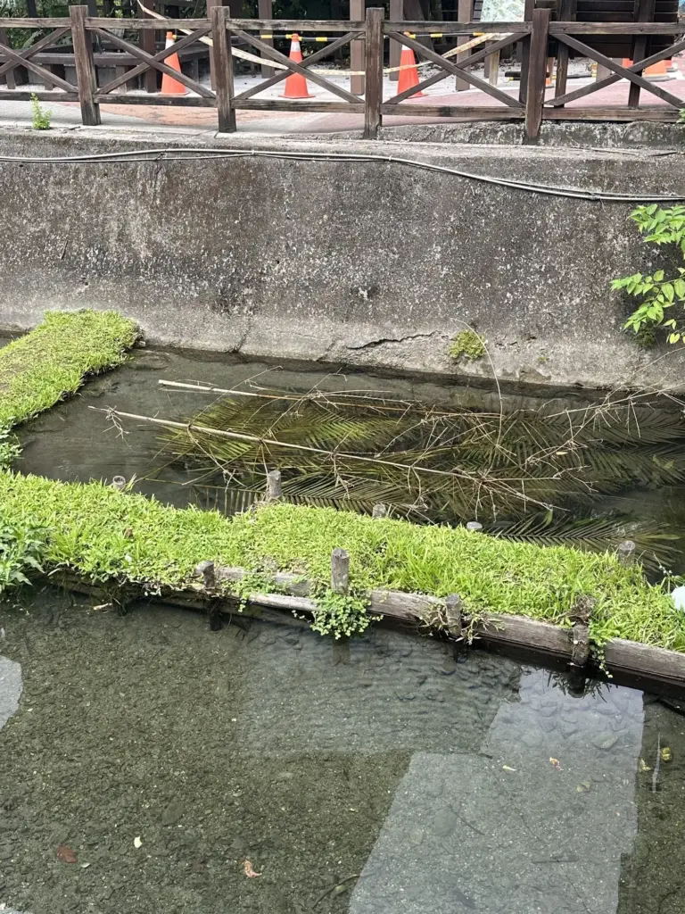 馬太鞍濕地巴拉告捕魚